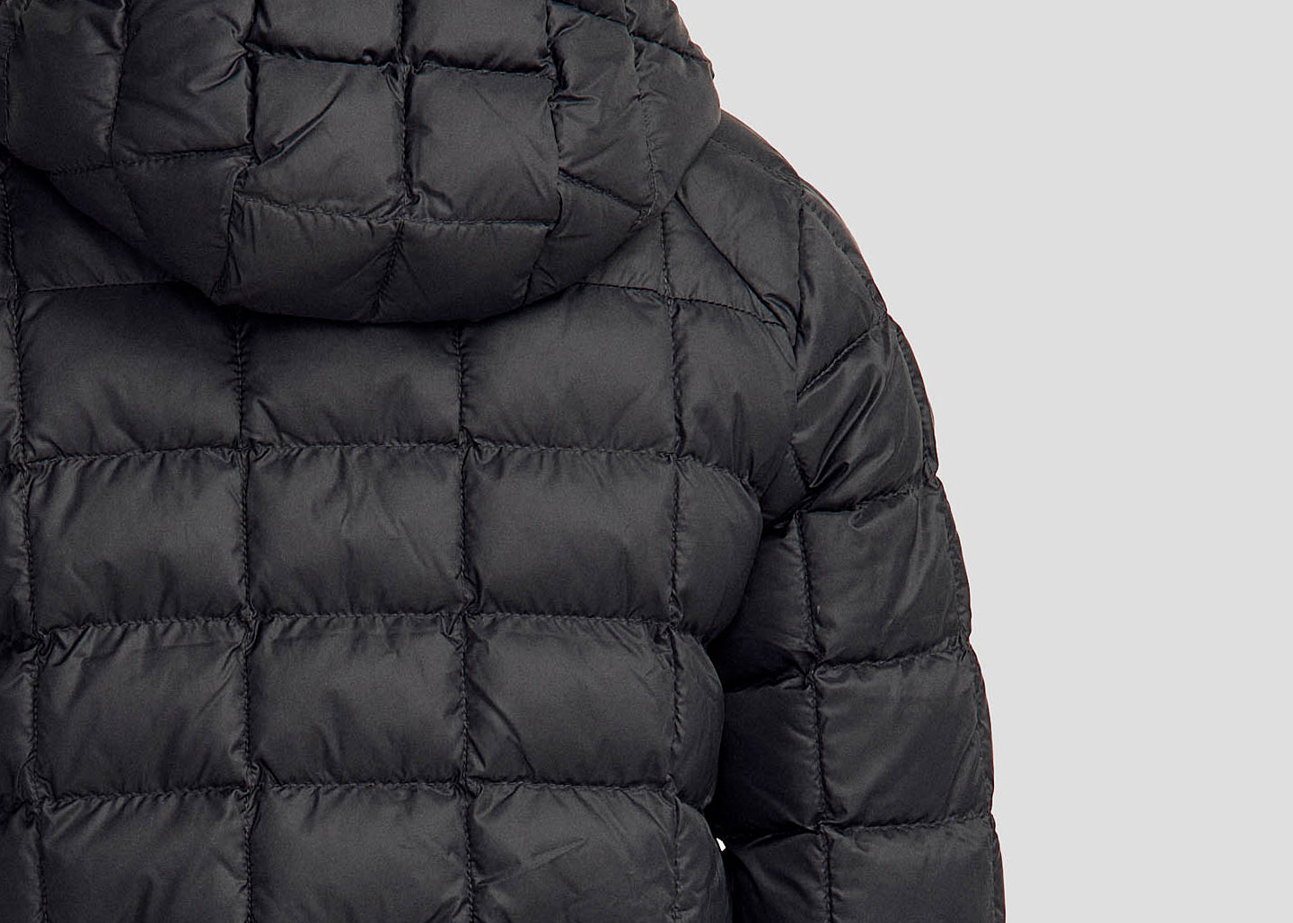 Water repellent