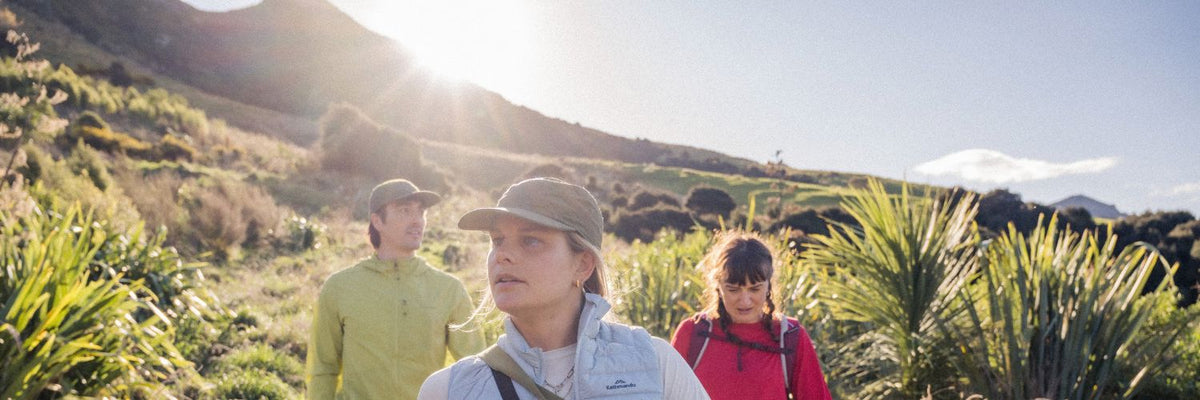 Three hikers walking through a sunlit mountain landscape with native vegetation and rolling hills in the background. 