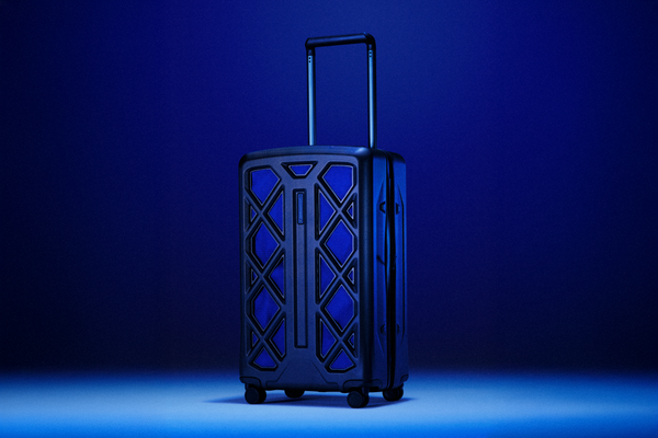 Check-In Spinner 80/90L