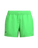 Women's EVRY-Day 4 inch Shorts - Lizzard