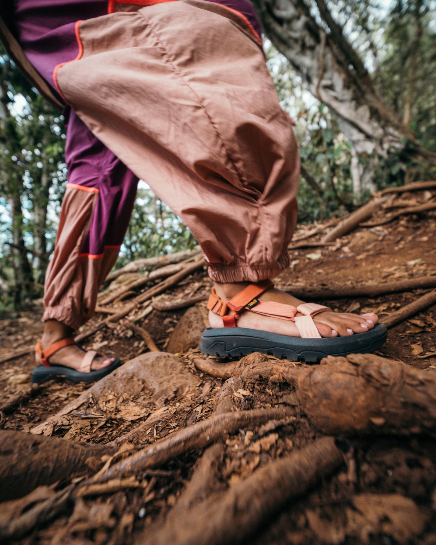 Women's Teva Hurricane XLT3 Sandals - Sedona Multi