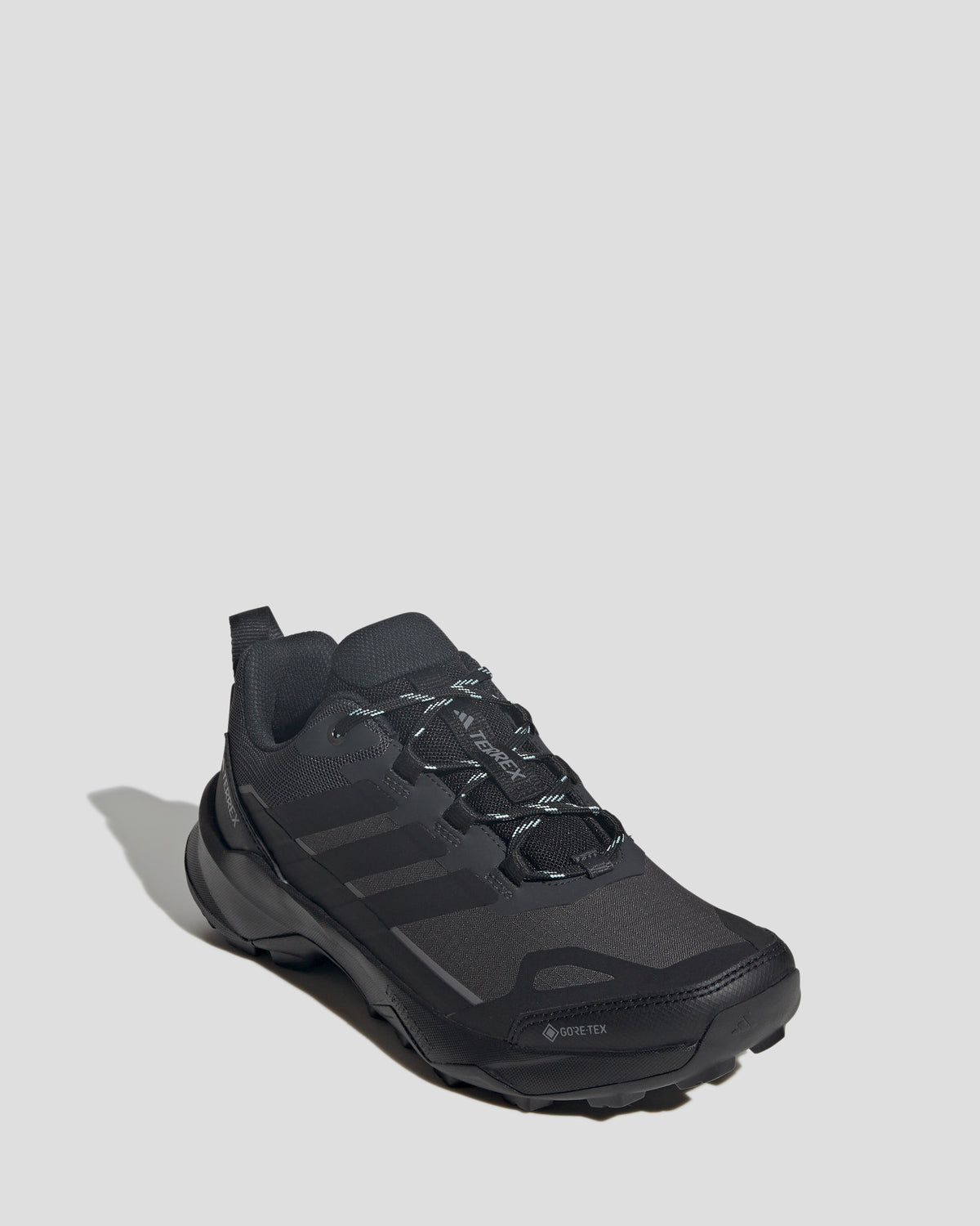 b2577_p6f_adidas_terrex_skychaser_ax5_gtx_womens_b_1789087611000